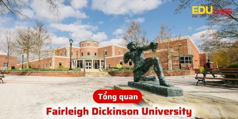 Tổng quan về du học Mỹ trường đại học Fairleigh Dickinson University FDU